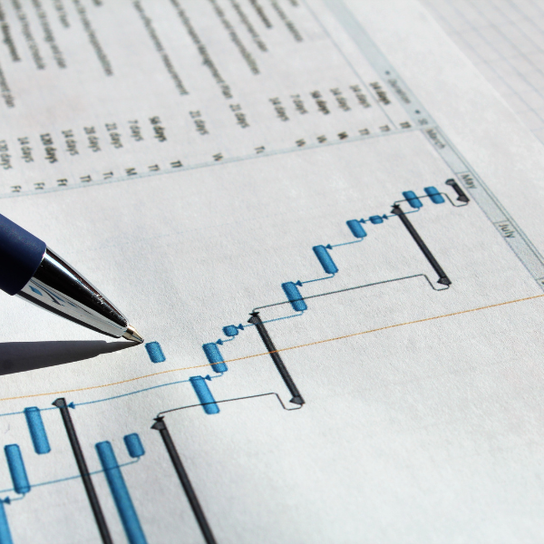 cronograma cronograma